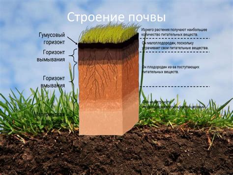 Раздел 4: Подготовка почвы и грунта