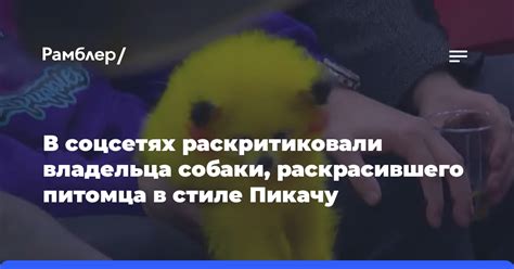 Раздел 5: Как сделать выбор имени питомца в стиле бензопилы уникальным