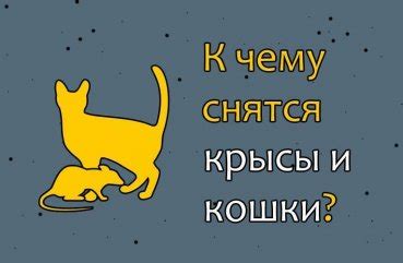 Раздел 7: Как осознать сон о мертвых крысах и кошках?