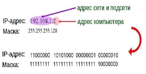 Различие между адресом сети и адресом узла