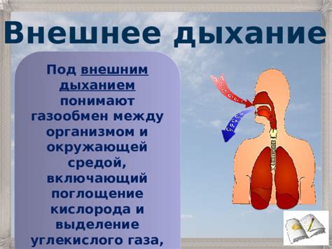 Различие между дыханием и газообменом