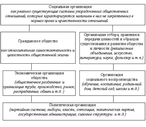 Различия в социальной организации