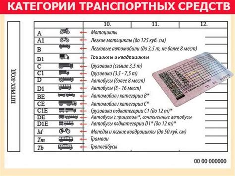 Различия между категорией А и категорией В сосисок