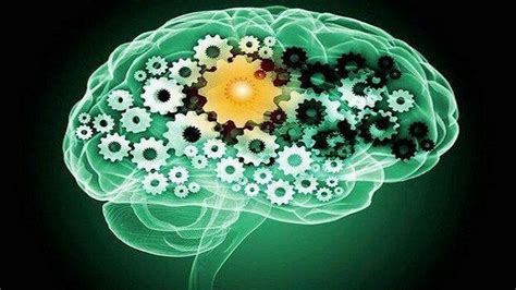 Различия между когнитивными способностями и интеллектом