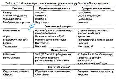 Различия между мокшами и эрзями