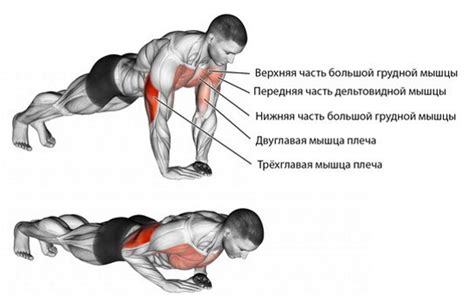 Различные варианты алмазных отжиманий для разных групп мышц