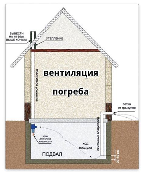 Различные варианты обустройства пола в погребе