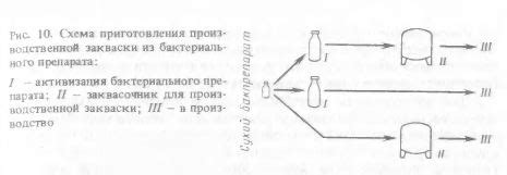 Различные виды ароматообразующих заквасок