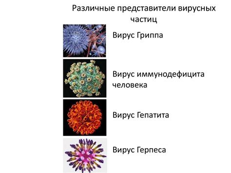 Различные виды вирусных батников