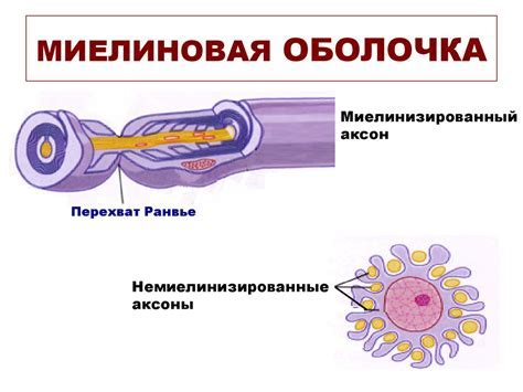 Различные методы восстановления и реставрации