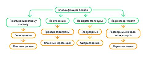 Различные типы биологически активных белков и их классификация