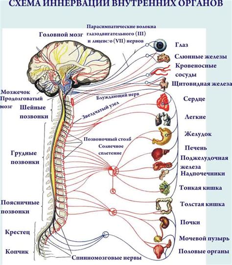 Различные типы нервных расстройств