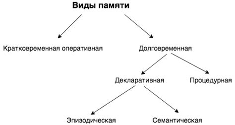 Различные типы памяти: короткосрочная и долгосрочная