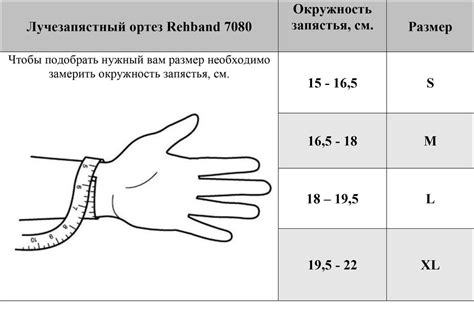 Размеры запястья и их классификация