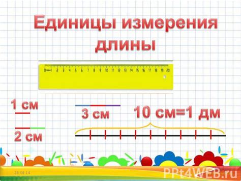 Размеры и измерения