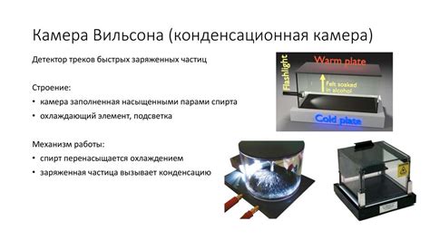 Размеры и форма камеры Вильсона