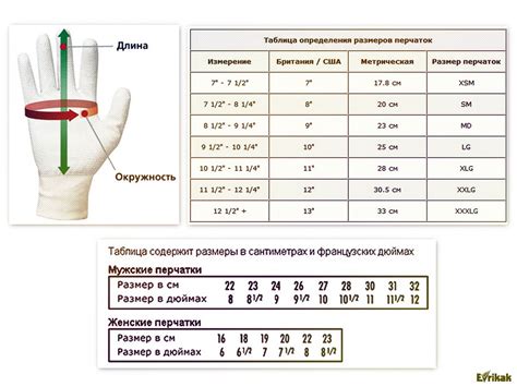 Размеры перчаток для различных видов активностей