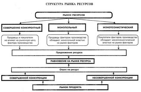 Размер и структура цветочного рынка в Риге сегодня