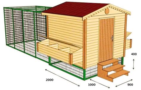 Размер и форма курятника