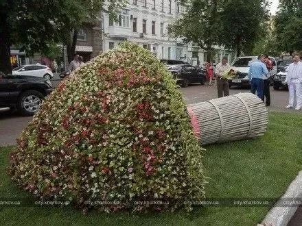 Разместите эхеверию в центре букета