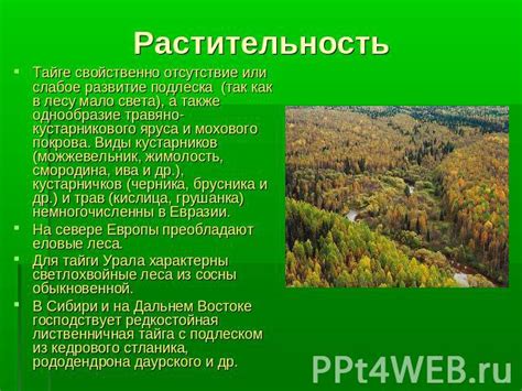 Размещаем растительность в загоне