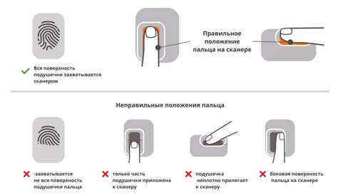 Размещение пальца на сканере отпечатков