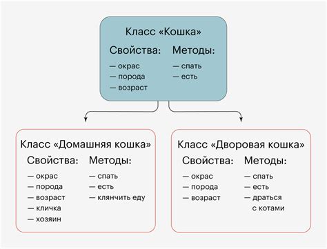 Разница между эконом классом и 1 классом: условия и комфорт