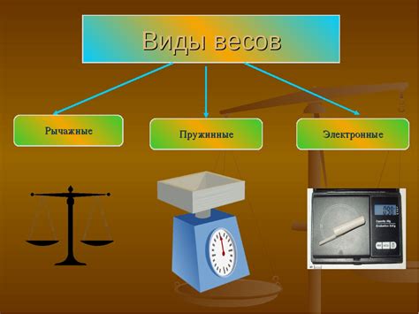 Разновидности весов для розничной торговли