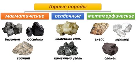 Разновидности и распространение