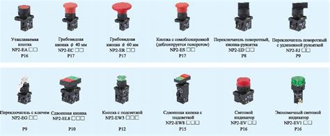 Разновидности кнопок