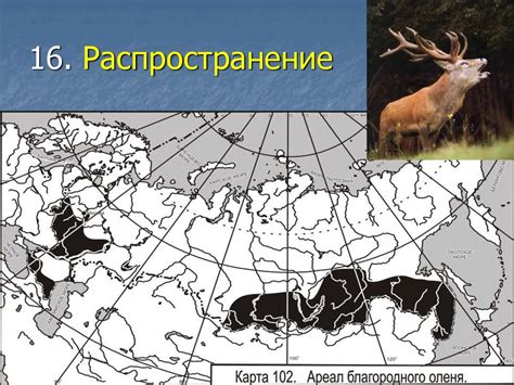 Разнообразие ареалов обитания