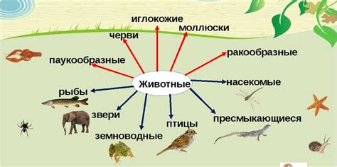 Разнообразие животных и монстров