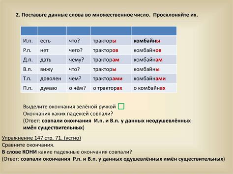 Разнообразие использования существительных и их окончаний