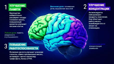 Разнообразие и новые задачи для стимуляции мозговой активности