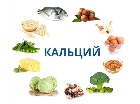 Разнообразие продуктов для удовлетворения потребностей растущего организма