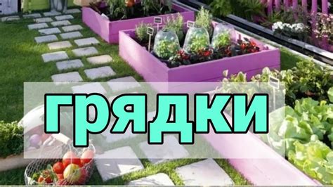 Разнообразие растений на ухоженных грядках и их значение