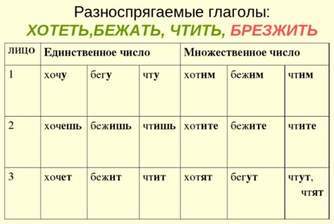 Разноспрягаемые глаголы: что это такое и зачем нужно знать их формы