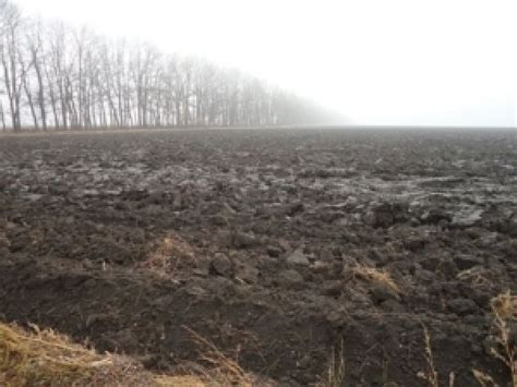 Разобраться в типах земельных паев