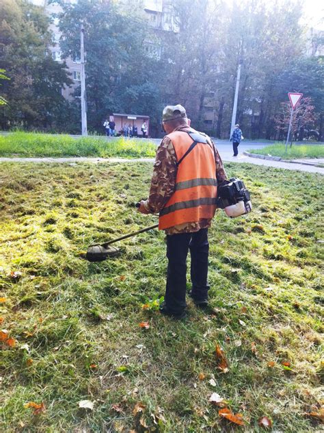 Разработка и внедрение программы по благоустройству и оживлению участков