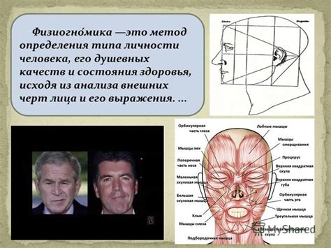 Разработка черт лица и выражения