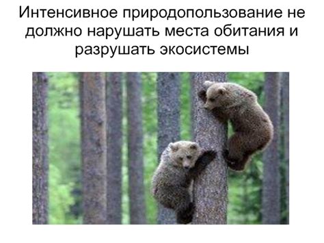 Разрушать экосистемы