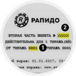 Рапидо билет по номеру: всё, что вам нужно знать