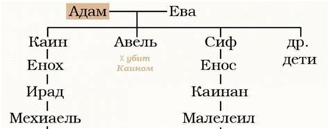 Раскрытие смысла имён детей Адама и Евы