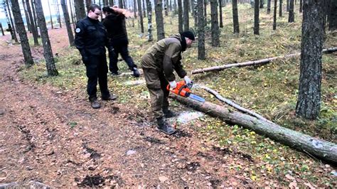 Распиливание дерева на необходимые элементы