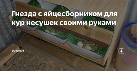 Расположение гнезда и общение с партнером