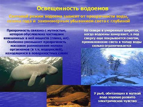 Распределение суши и водных масс