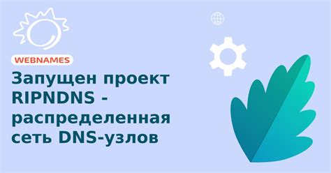 Распределенная архитектура DNS