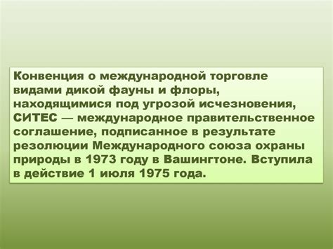 Распространенные заблуждения о международной торговле