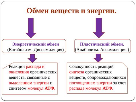 Расстройства обмена веществ и их последствия