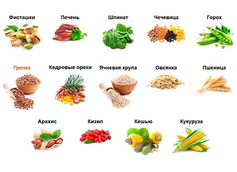 Растительные продукты, богатые железом